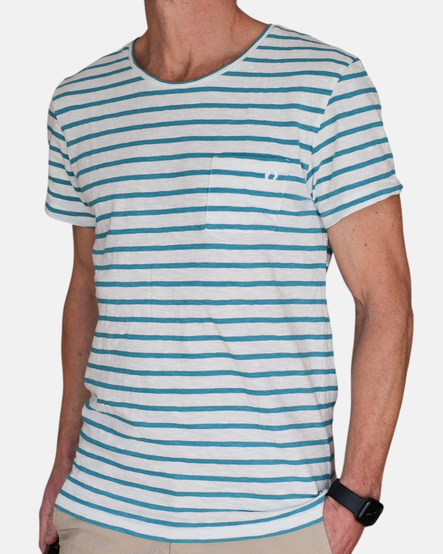 Hang Ten Striped T-shirt - Green & White