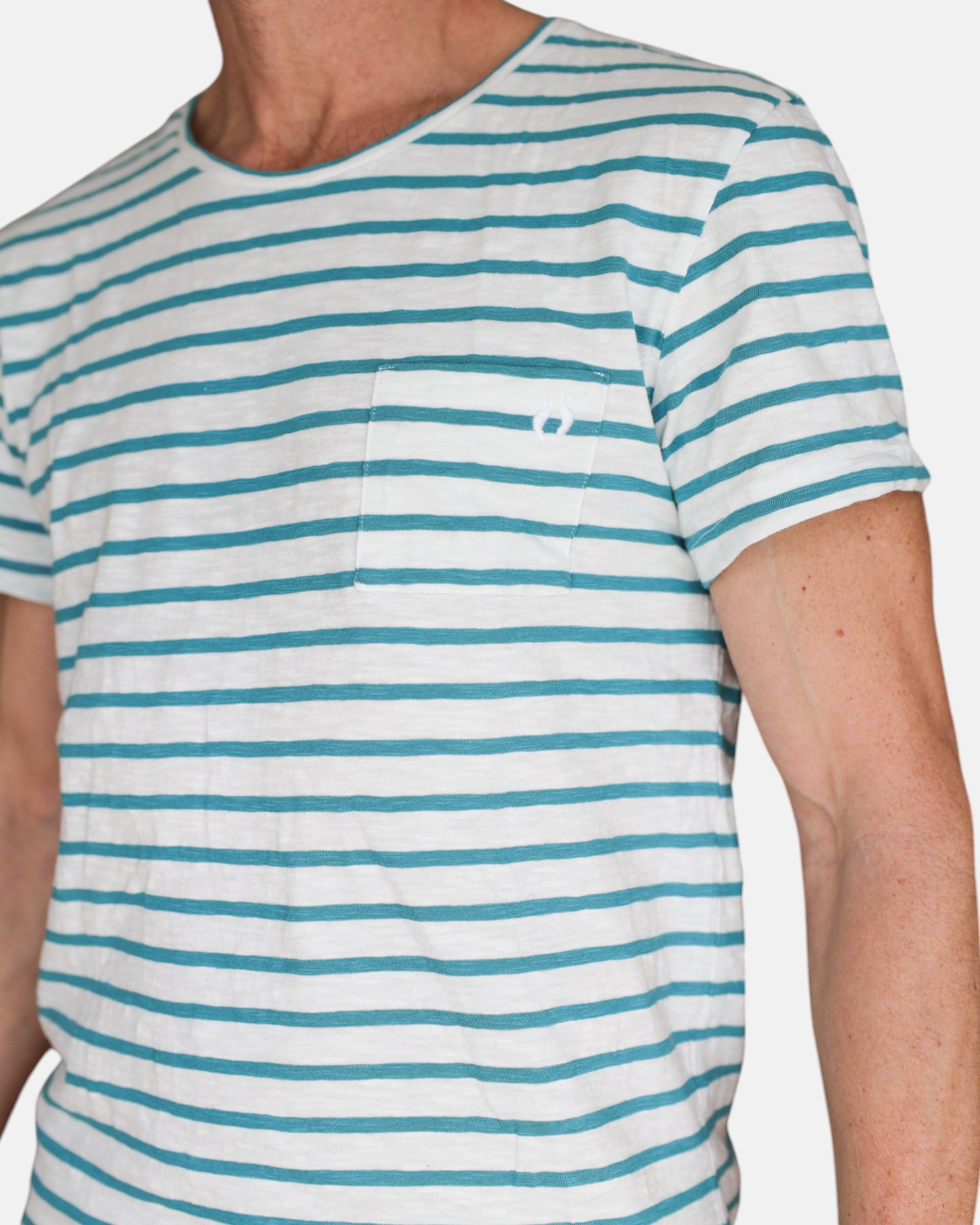 Hang Ten Striped T-shirt - Green & White