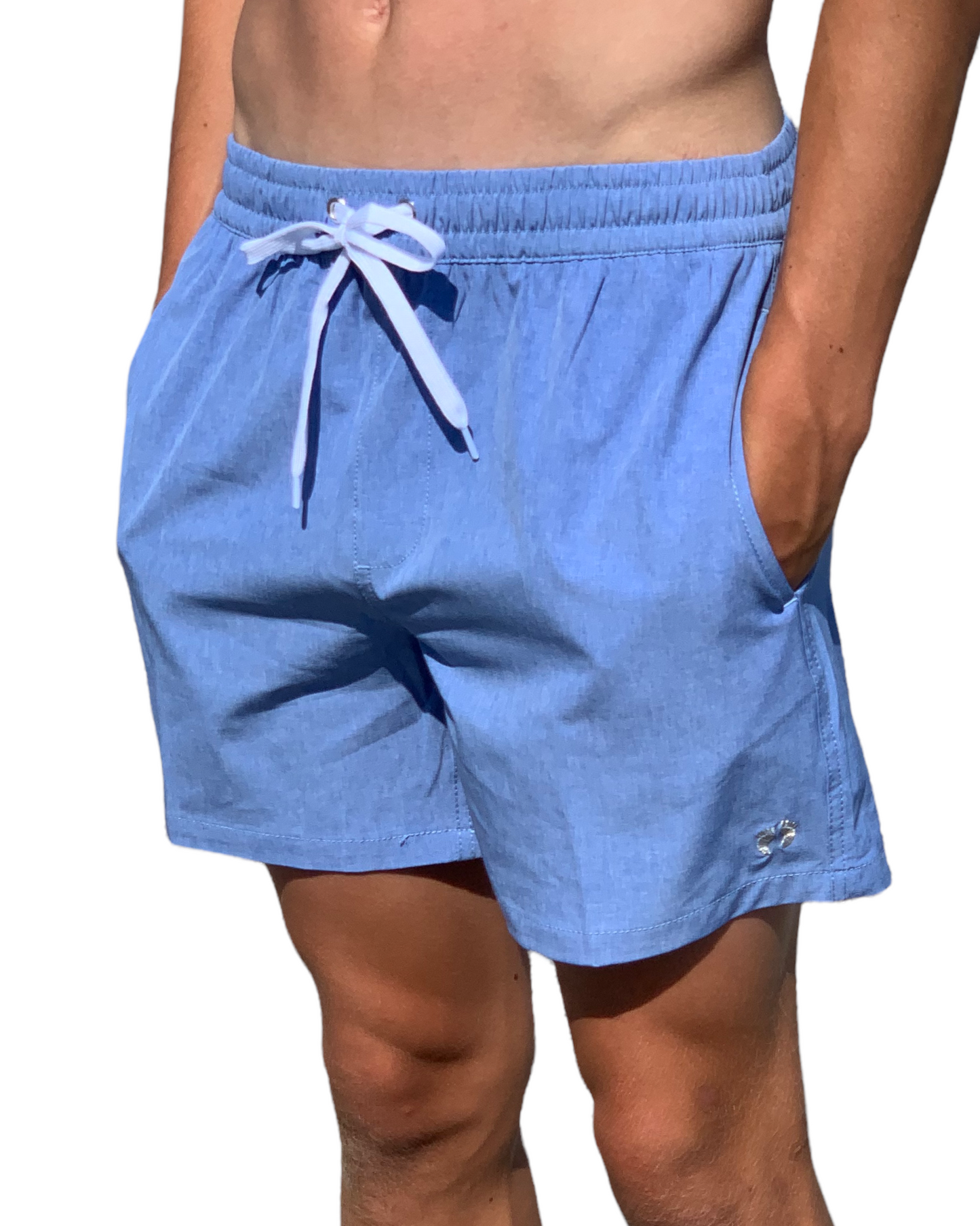 Icon Swim Shorts 15' - Blue
